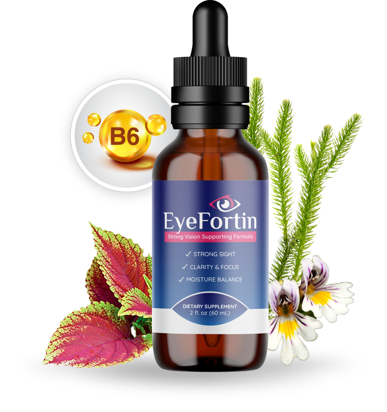EyeFortin review